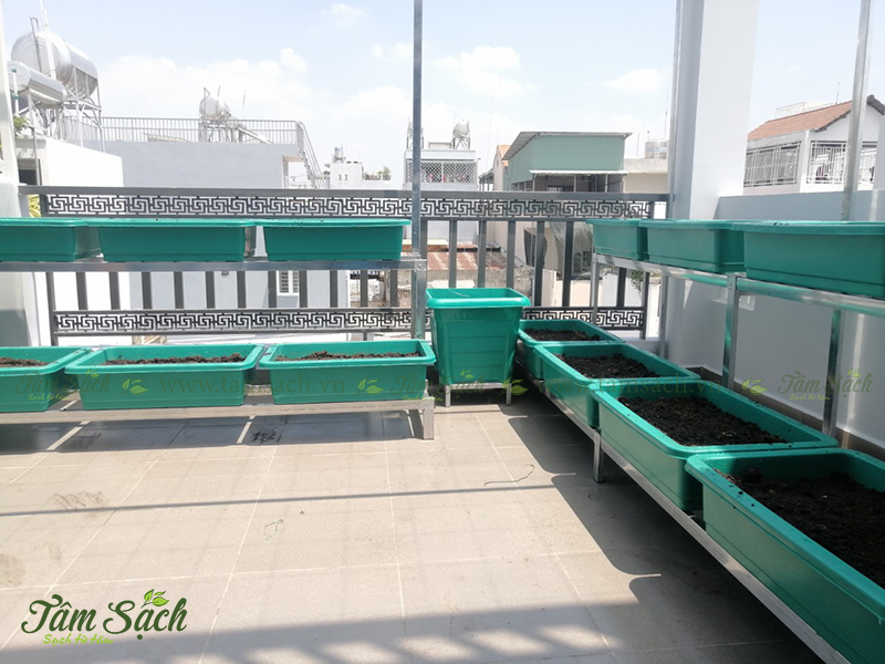 Thiết kế kệ trồng rau sạch 2 tầng