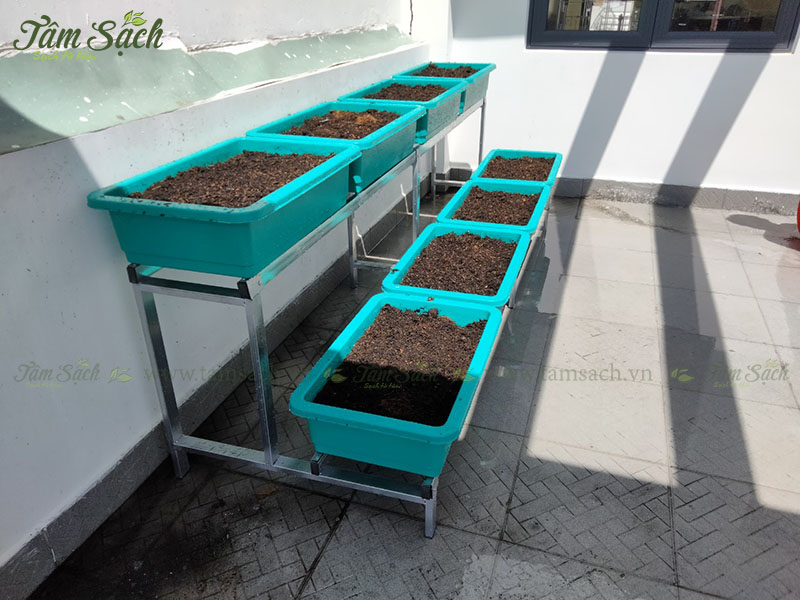 Thiết kế kệ trồng rau sạch 2 tầng