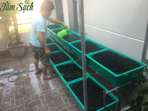 Thiết kế kệ trồng rau sạch 2 tầng