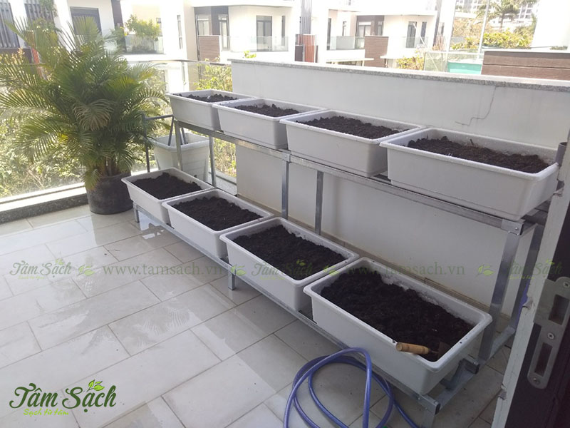 Thiết kế kệ trồng rau sạch 2 tầng