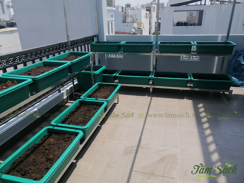 Thiết kế kệ trồng rau sạch 2 tầng