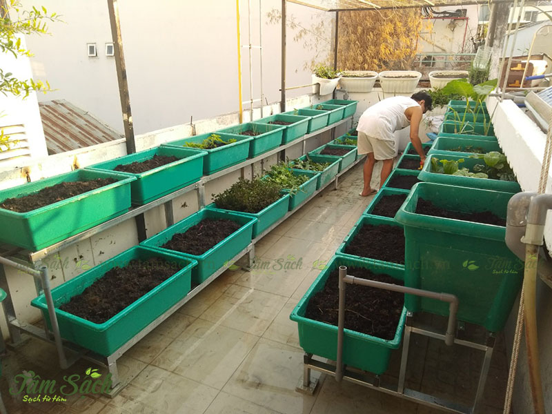 Thiết kế kệ trồng rau sạch 2 tầng
