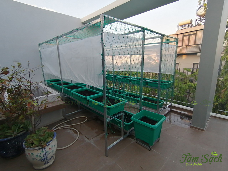 Thiết kế kệ trồng rau sạch 2 tầng