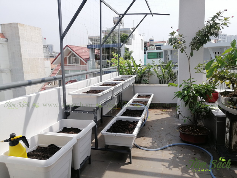 Thiết kế kệ trồng rau sạch 2 tầng