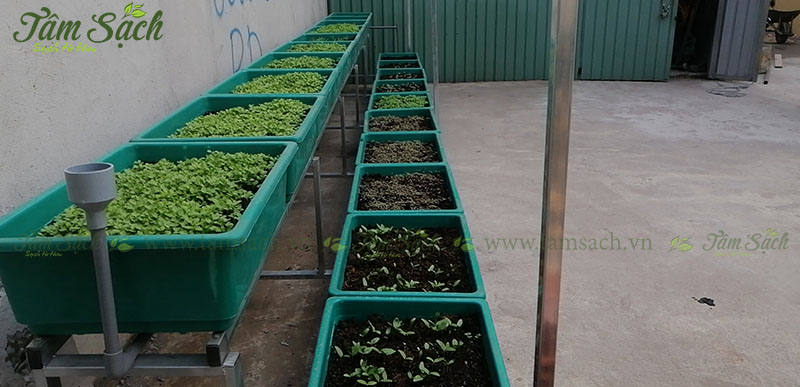 Thiết kế kệ trồng rau sạch 2 tầng