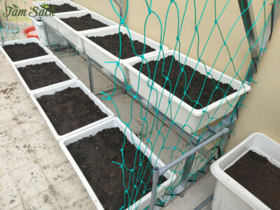 Bộ kệ trồng rau sạch thông minh