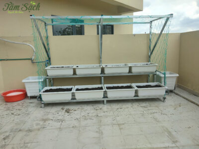 Bộ kệ trồng rau sạch thông minh