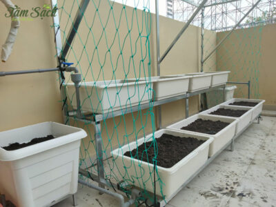 Bộ kệ trồng rau sạch thông minh