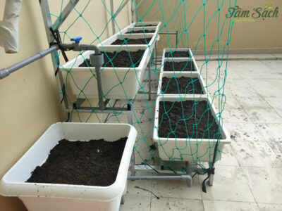 Bộ kệ trồng rau sạch thông minh