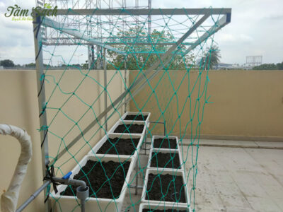 Bộ kệ trồng rau sạch thông minh