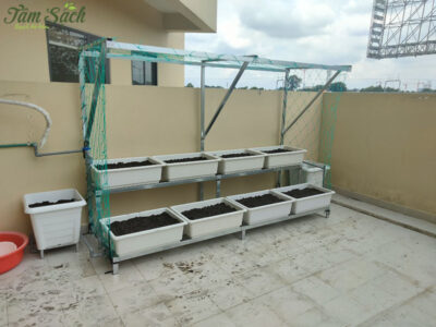 Bộ kệ trồng rau sạch thông minh