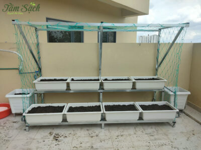 Kệ sắt để khay rau