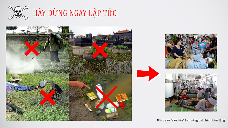Tác hại của rau bẩn
