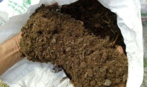 Ủ phân hữu cơ tại nhà