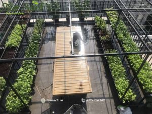 Dịch vụ thiết kế thi công vườn rau sạch tại nhà