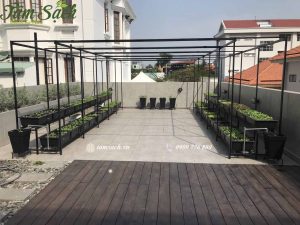 Dịch vụ thiết kế thi công vườn rau sạch tại nhà