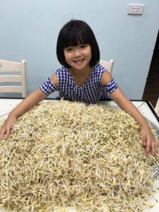 làm giá đỗ tại nhà