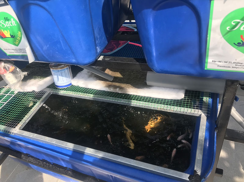 Giàn trồng rau trên sân thượng