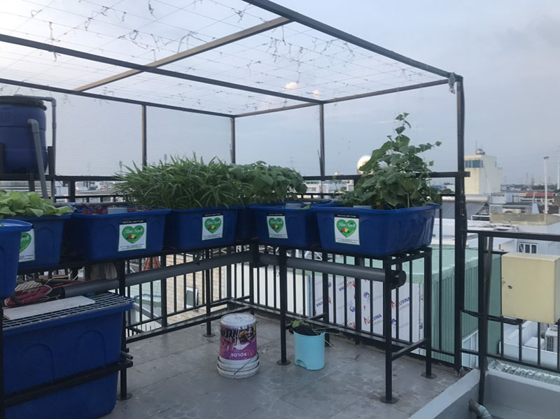 Giàn trồng rau trên sân thượng