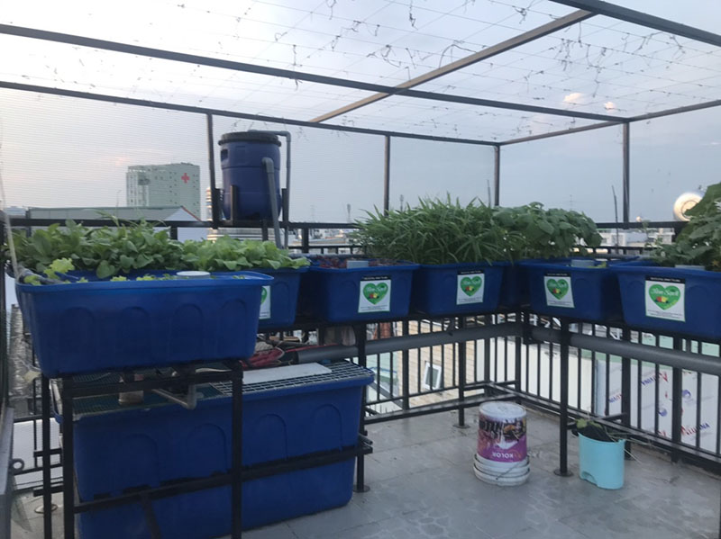 Giàn trồng rau trên sân thượng