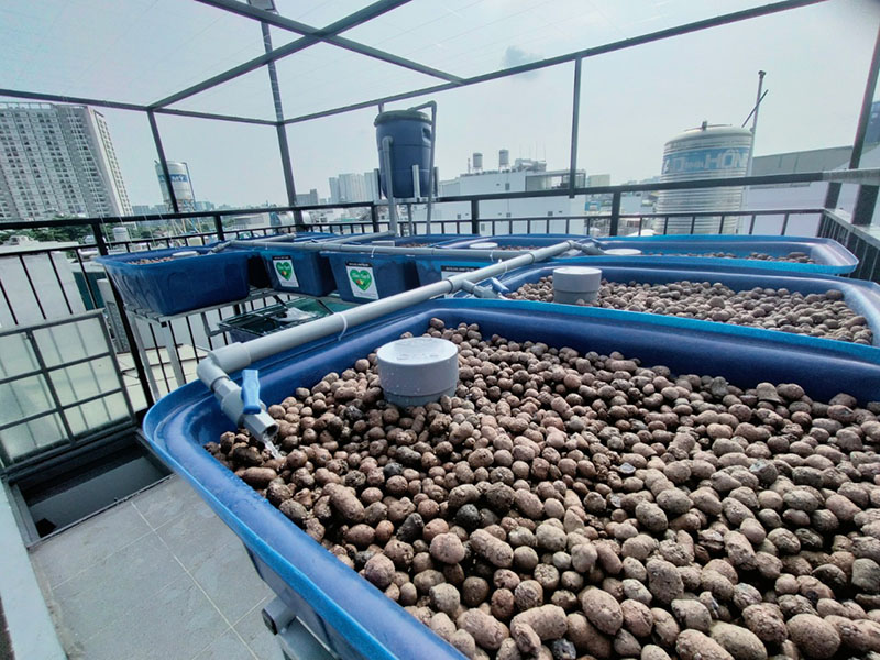 Giàn trồng rau trên sân thượng