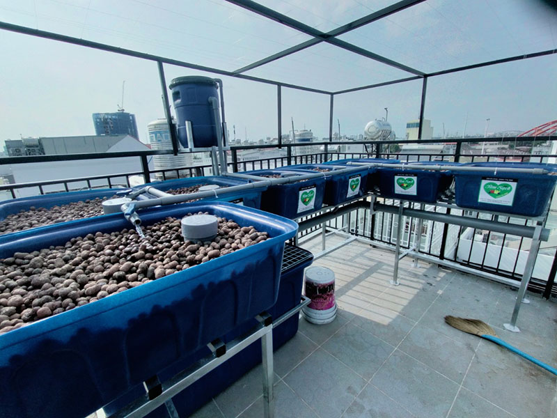 Giàn trồng rau trên sân thượng