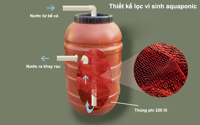 Vi khuẩn trong hệ thống Aquaponics