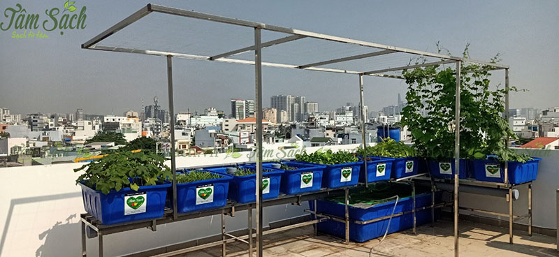 Vị trí đặt hệ thống Aquaponics
