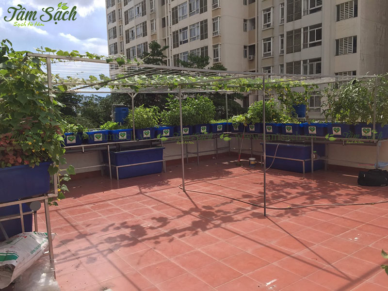 Vị trí đặt hệ thống Aquaponics