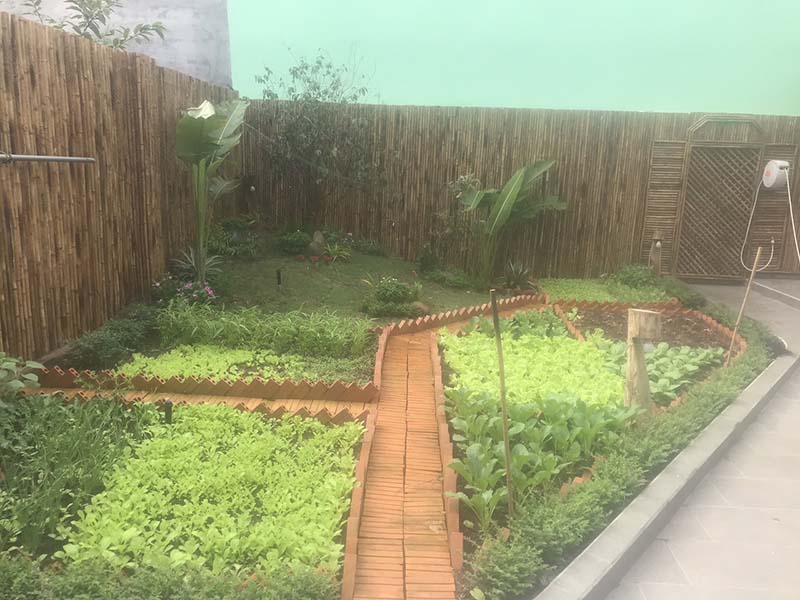 vườn rau 100m2 đẹp