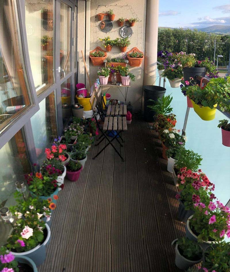 vườn treo ban công đẹp