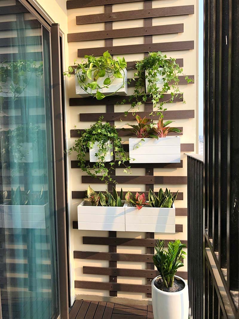 vườn treo ban công đẹp