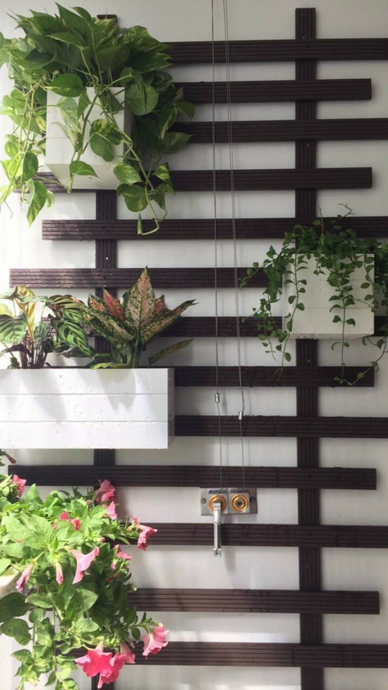 vườn treo ban công đẹp