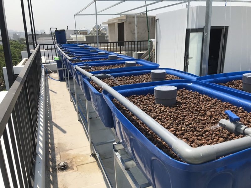 khay nhựa trồng rau Aquaponics