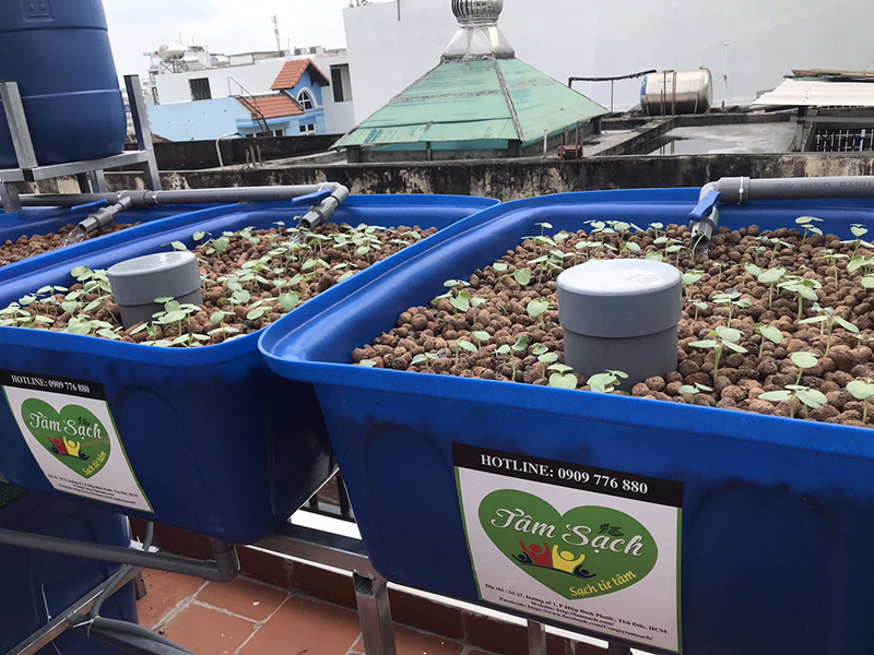 khay nhựa trồng rau Aquaponics