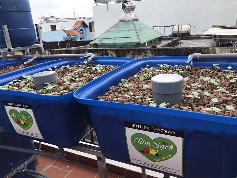 khay nhựa trồng rau Aquaponics