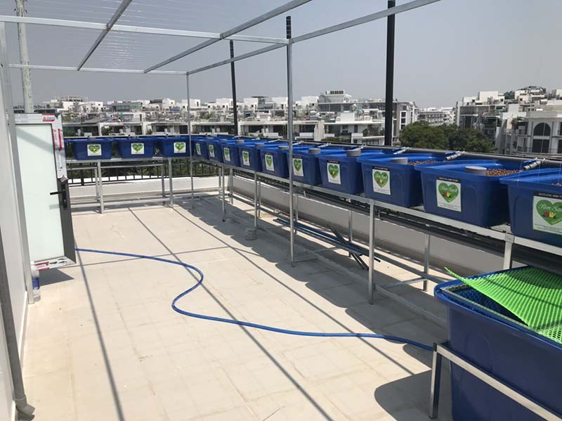 khay nhựa trồng rau Aquaponics