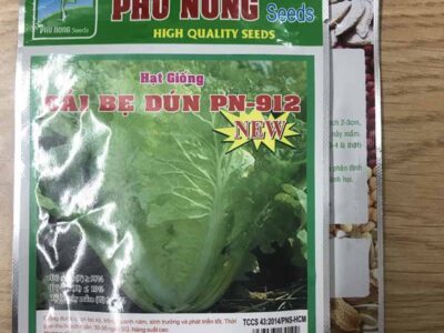 Hạt giống cải bẹ dún