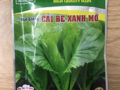 hạt giống cải bẹ xanh mỡ