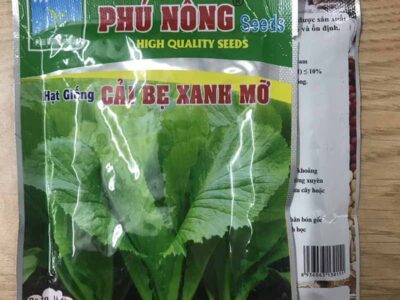 hạt giống cải bẹ xanh mỡ