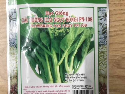 Hạt giống cải ngồng (cải ngọt ăn bông)