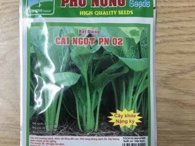 Hạt giống cải ngọt