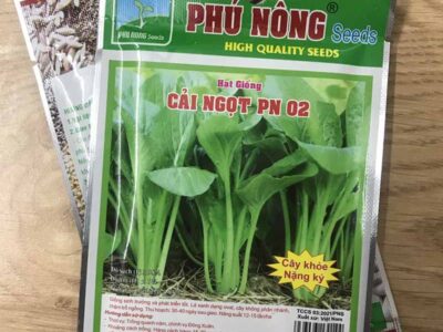 Hạt giống cải ngọt