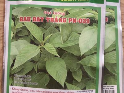 hạt giống rau đay trắng