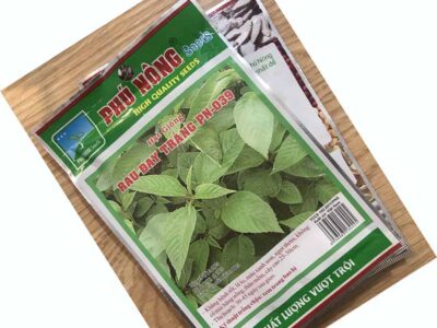 hạt giống rau đay trắng