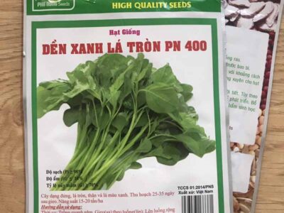 Hạt giống rau dền xanh
