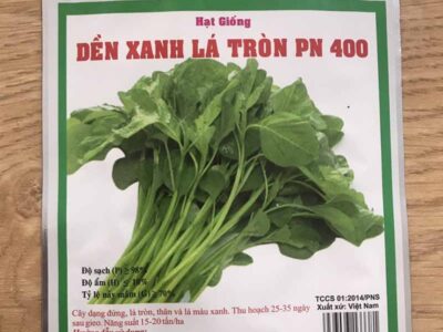 Hạt giống rau dền xanh