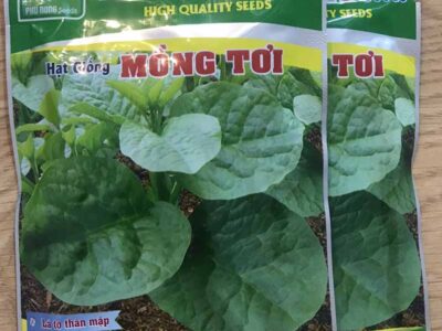 hạt giống rau mồng tơi lá to