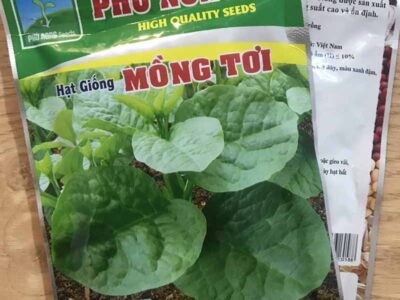hạt giống rau mồng tơi lá to