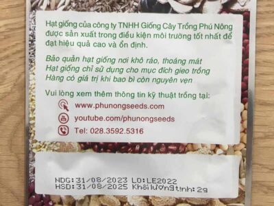 Hạt giống rau xà lách Minetto